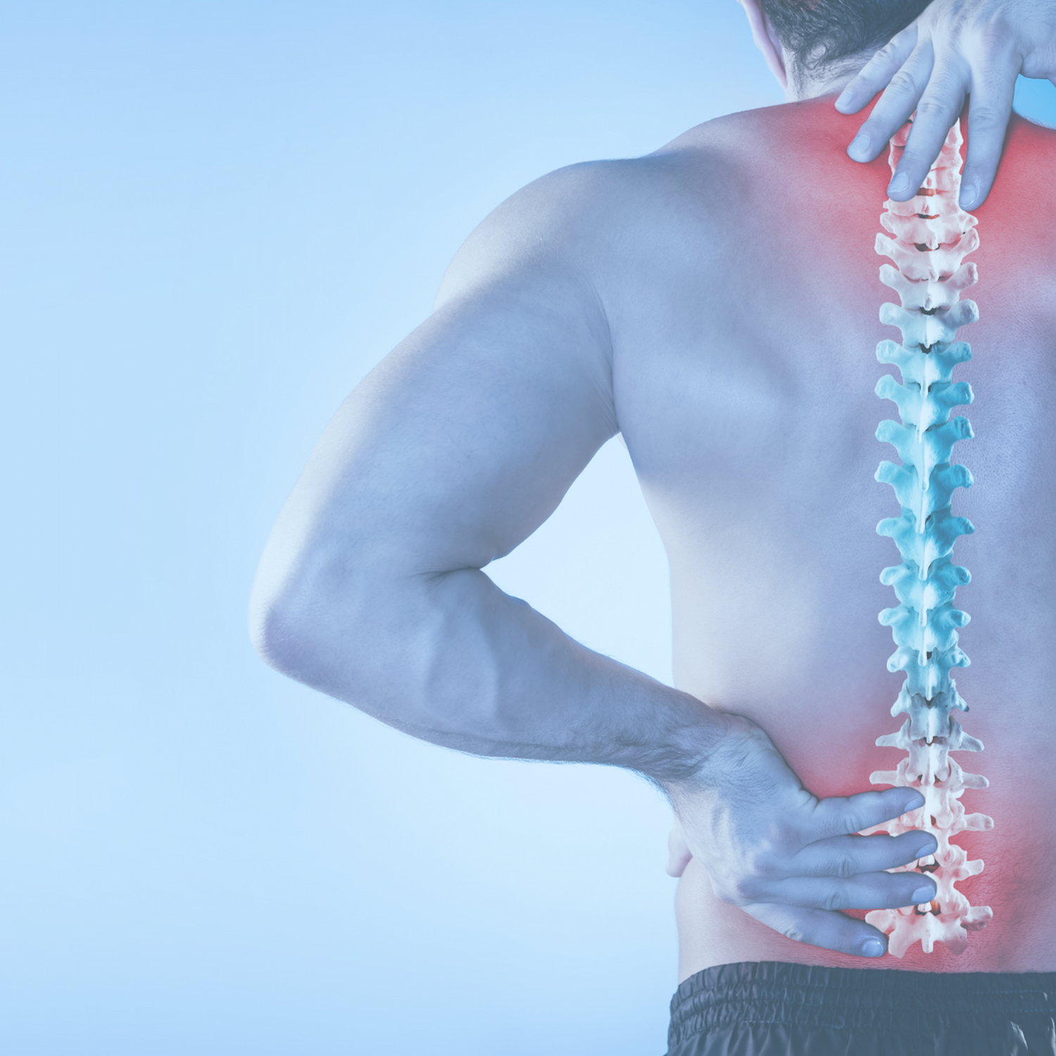 Brown Chiropractic Consultation Instagram Post